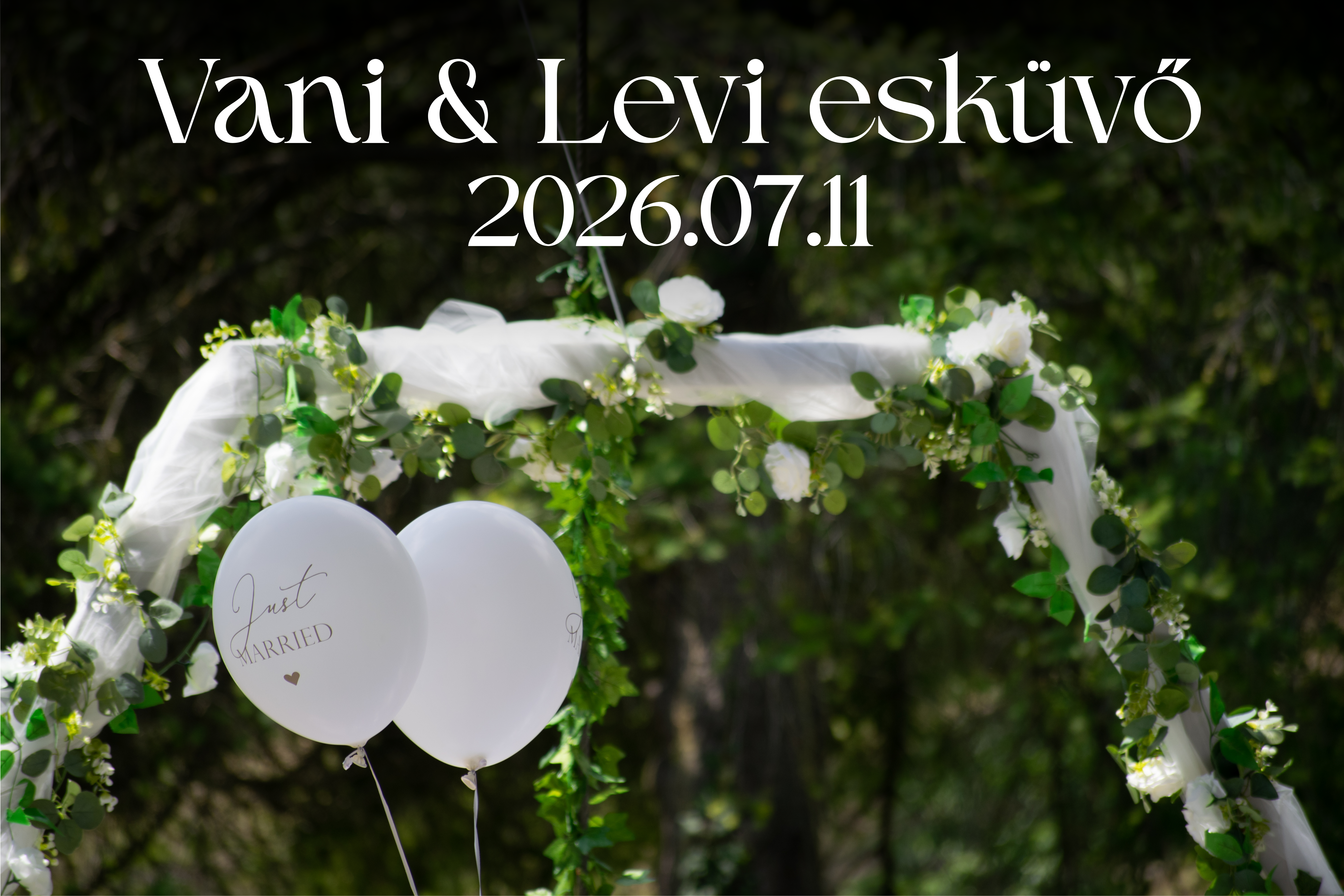 Vani&Levi 26.07.11 esküvő válogatás